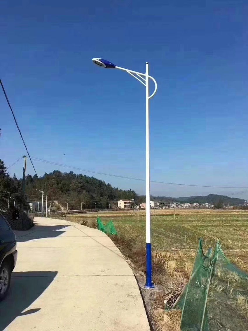 市電路燈LRSD004(路之光)