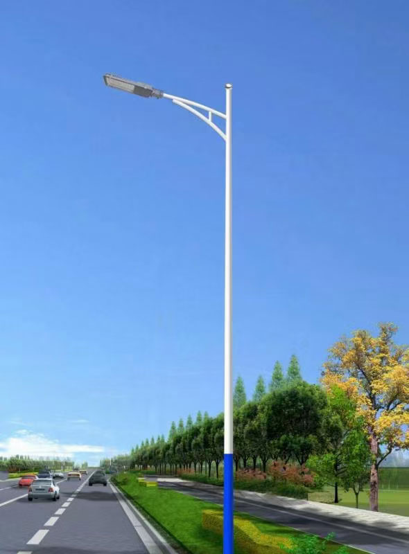 市電路燈LRSD006(路之光)