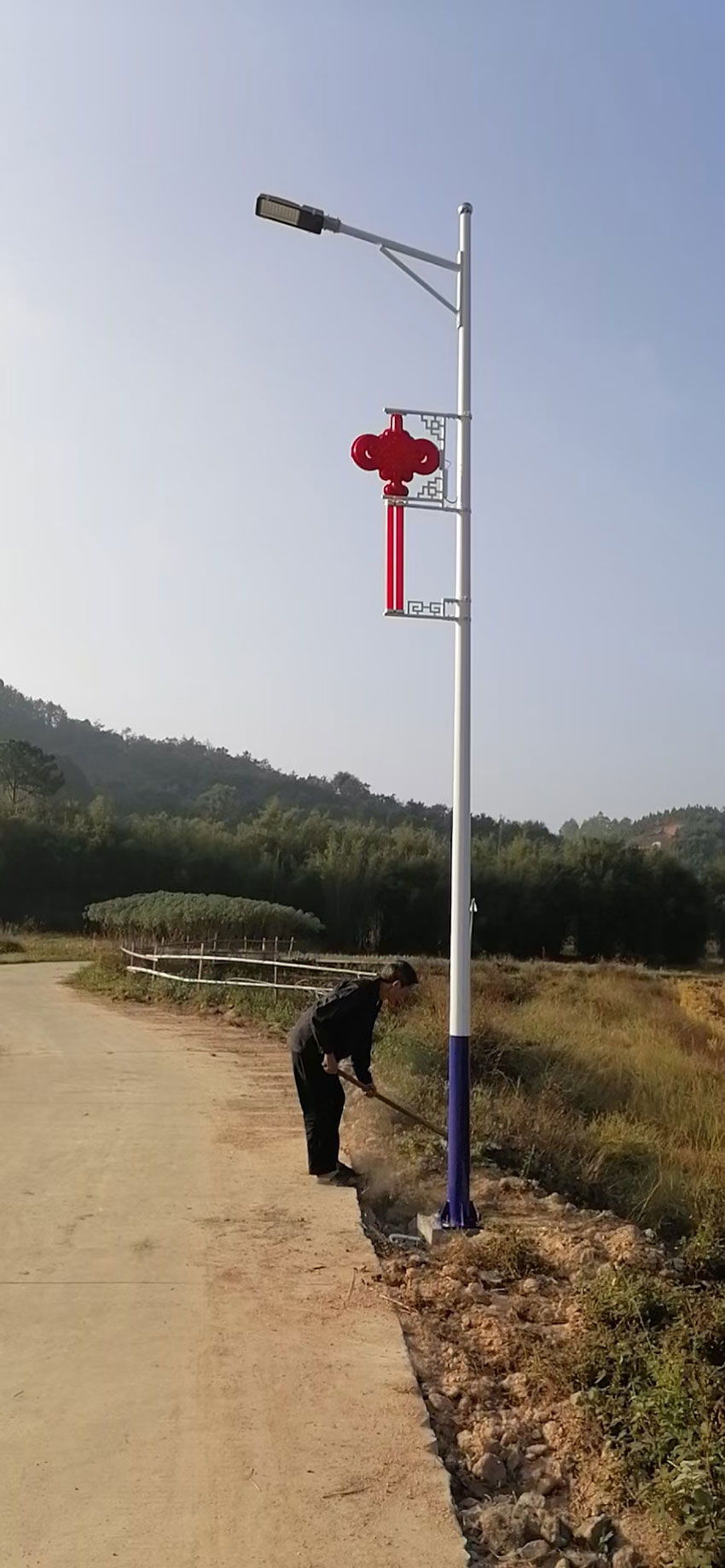 市電路燈LRSD007(路之光)