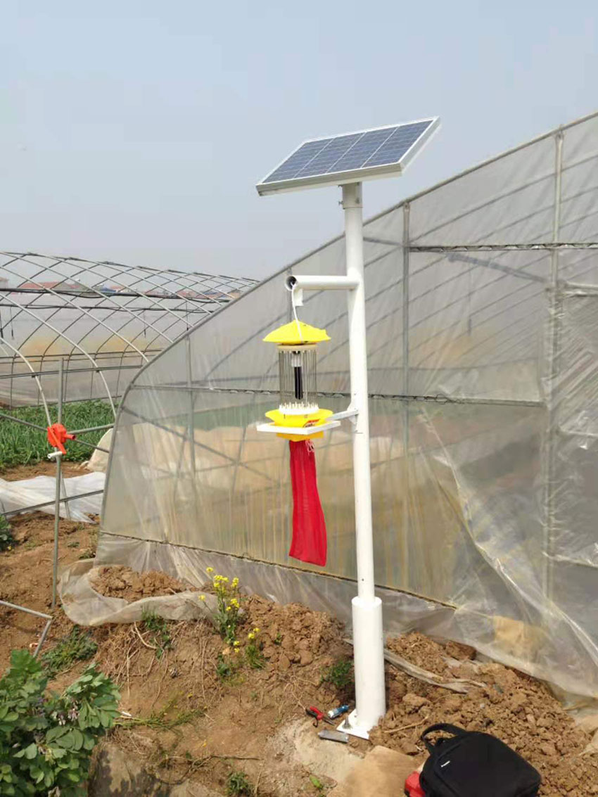 殺蟲燈LRSCD002(路之光)