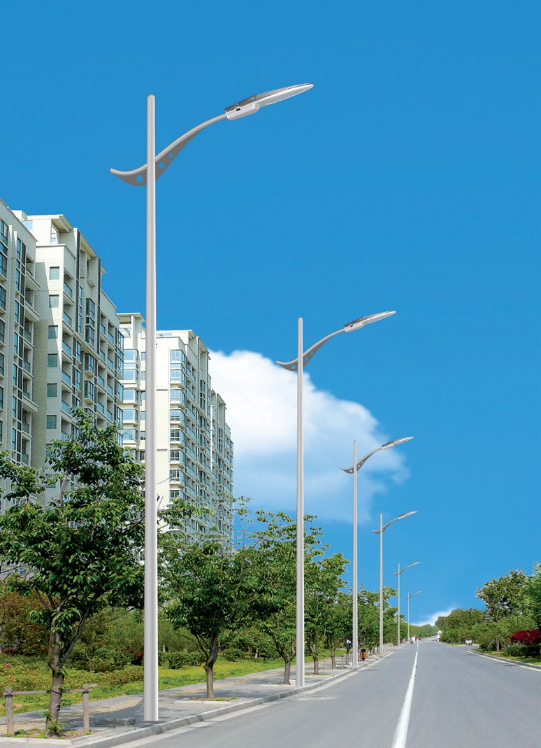 市電路燈LRSD013(路之光)